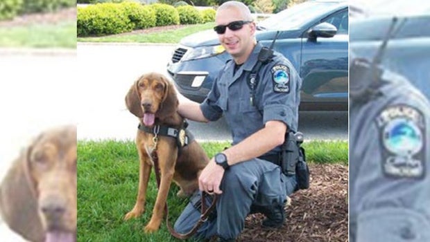 Georgia police dog dies after being left in handler's hot patrol car - CBS News