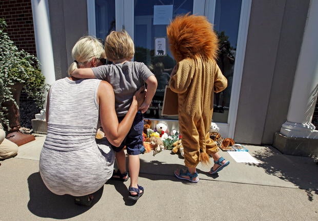 Cecil the lion killed in Africa