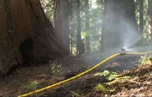 Firefighters set sprinklers on Sequoias to protect against wildfire