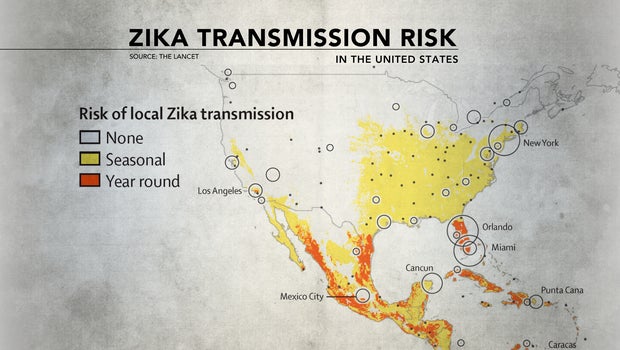 Local Health Experts Make Recommendations As Zika Virus Spreads