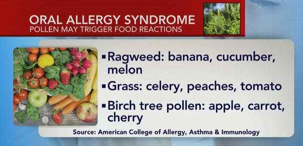sunflower allergy cross reactivity