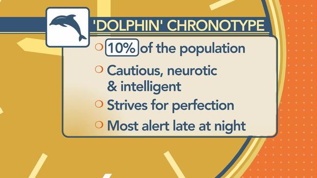 0914-ctm-breusscreengrabdolphin.jpg