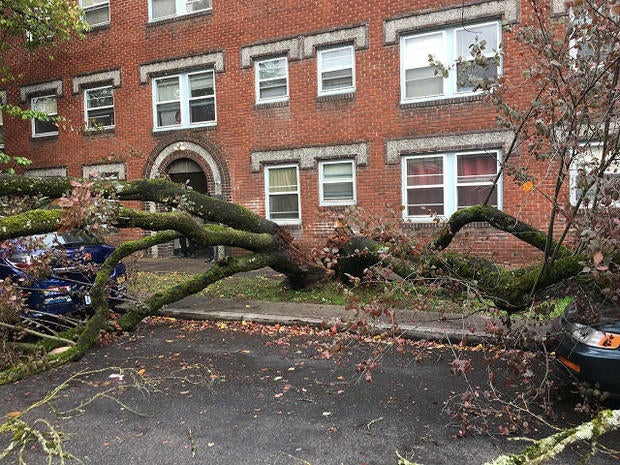 pacific-northwest-storm-3-2016-10-15.jpg