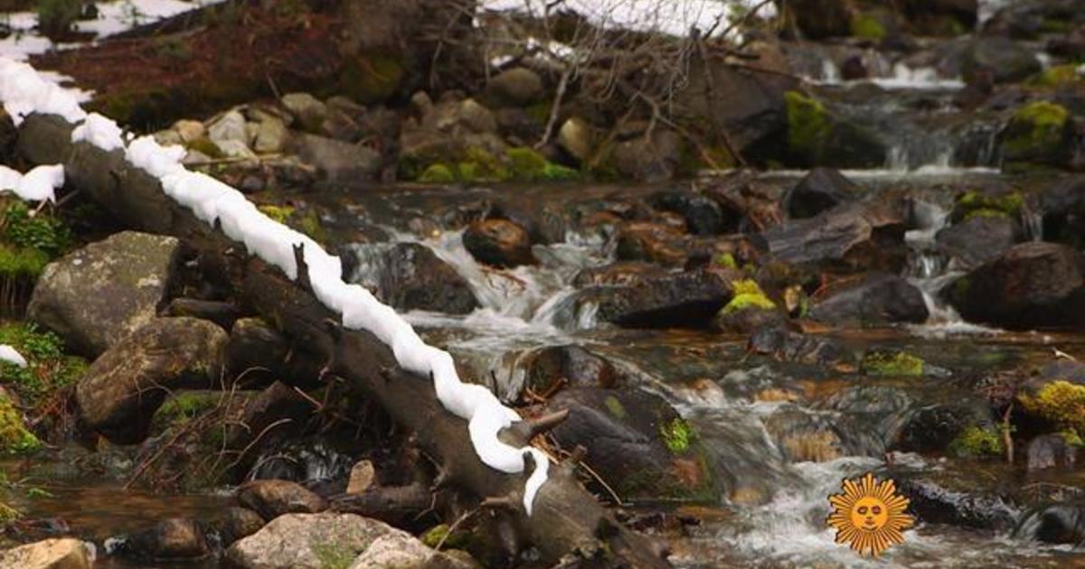 Nature: Great Basin National Park