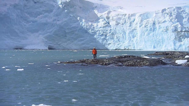 phillips-climate-penguins-0215en-transfer4.jpg