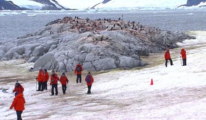 Is eco-tourism the future of science funding? 