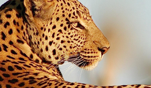 Scott Pelley's Instagram photos 