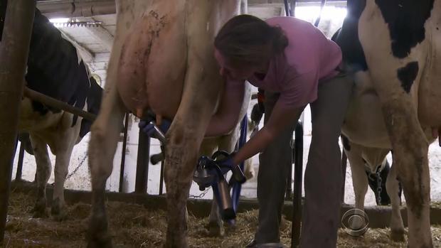 reynolds-wisconsin-dairy-farms-2-2017-4-25.jpg