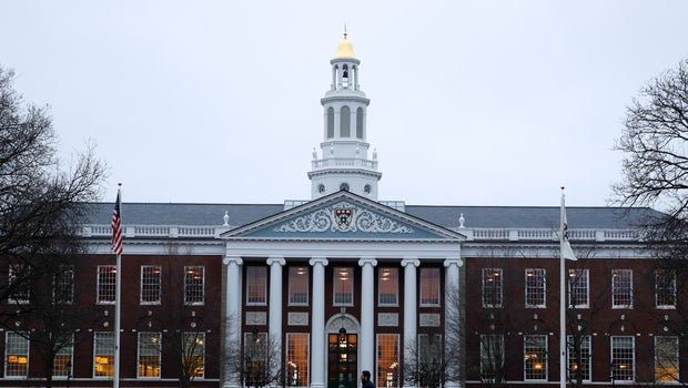 Here's Why Harvard Is Considering a Ban on Fraternities and Sororities Here's Why Harvard Is Considering a Ban on Fraternities and Sororities