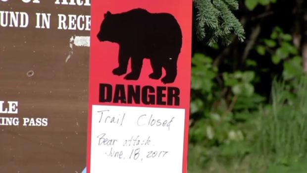 170619-ktva-bear-mauling-02.jpg