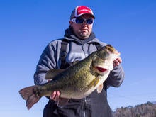 state-bass-record.jpg