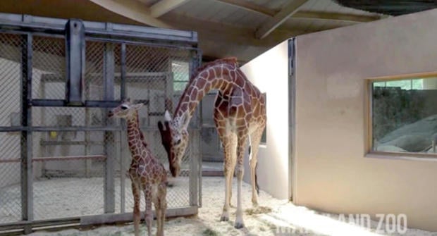 zoo.jpg