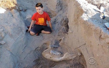 10-year-old boy stumbles across million-year-old fossil 