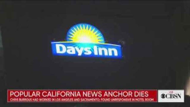 Ancor Coalition Urge Fda To Act On Banning Electronic Shock >> Http Www Cbsnews Com Video Deadly Lion Attack At North Carolina Ancor Coalition Urge Fda To Act On Banning Electronic Shock >> Http Www Cbsnews Com Video Deadly Lion Attack At North Carolina