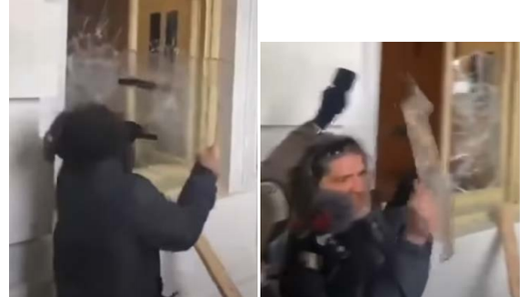 pezzola-govt3.png