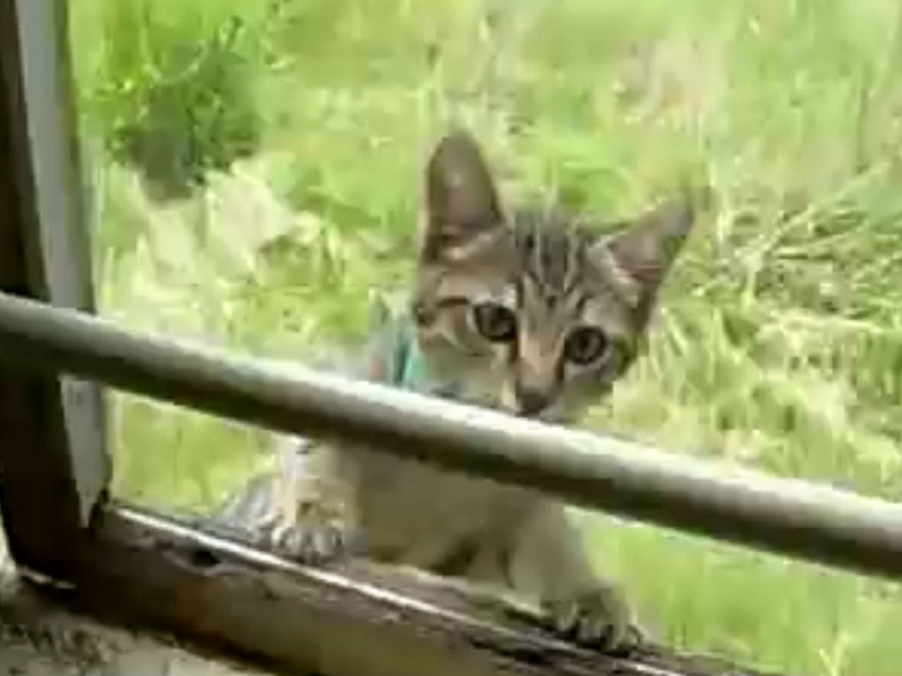 sneaky ninja skills sneaky ninja skills