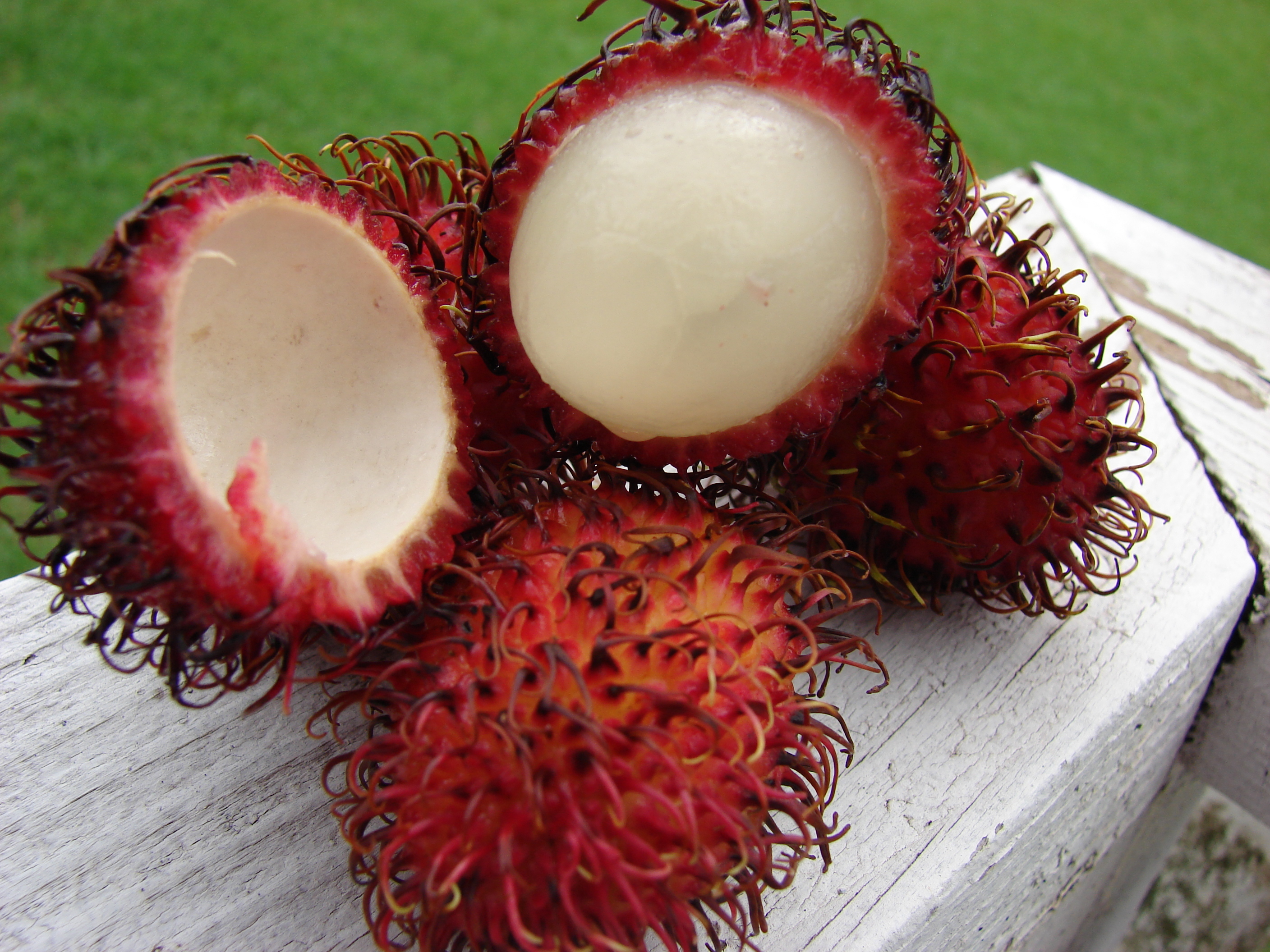 15 Strange Fruits And Vegetables Pictures Cbs News
