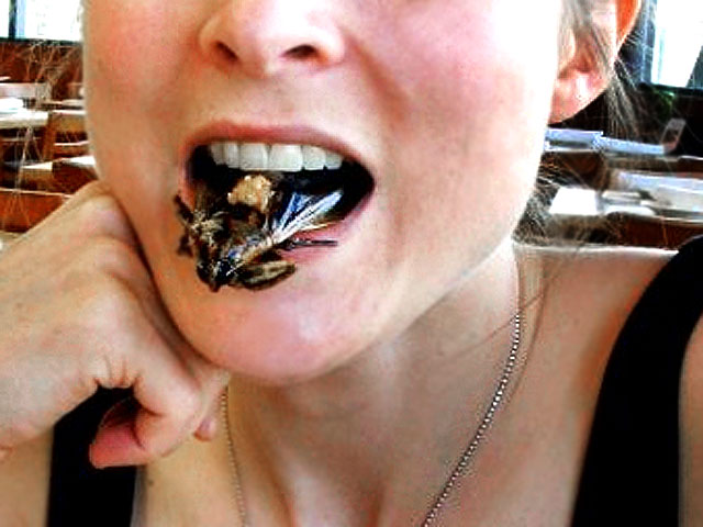 Good grub: 13 edible bugs - Photo 1 - Pictures - CBS News