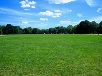 The Great Lawn 
