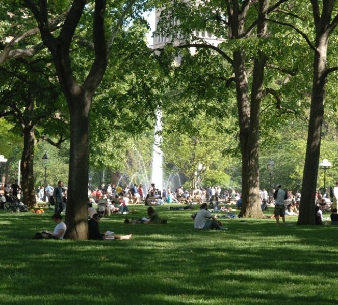 Washington Square Park  