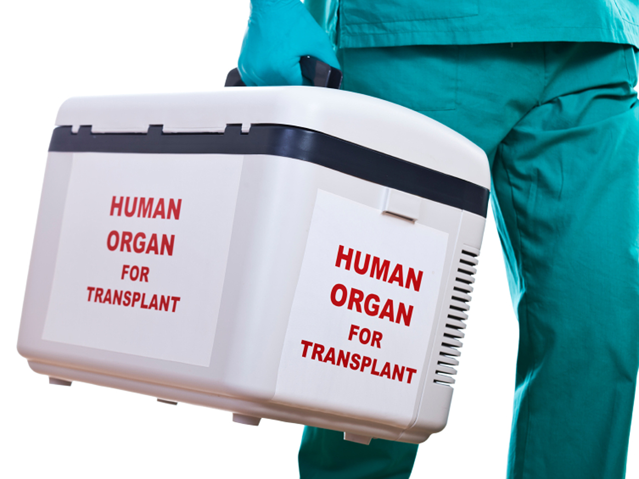 Organ network mapping path to fairer liver transplants - CBS News