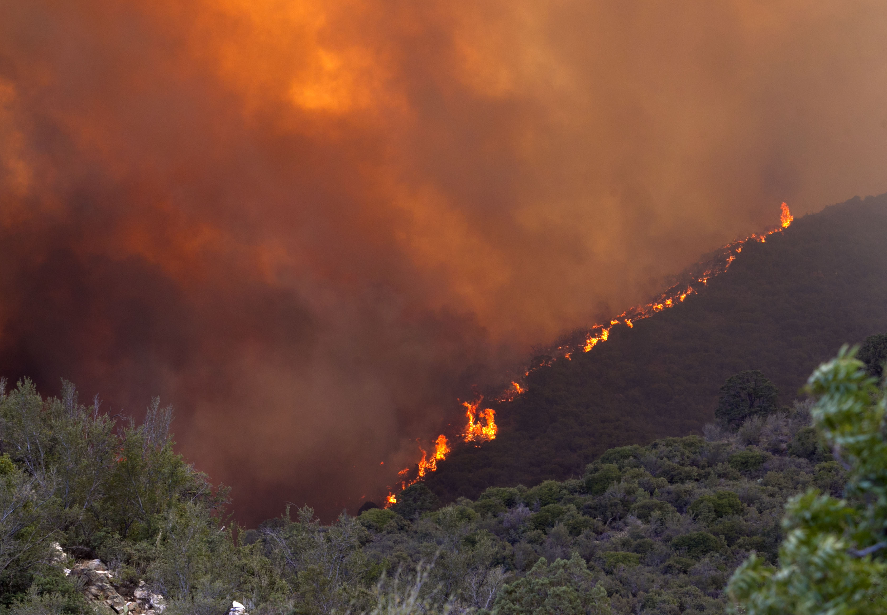 Arizona wildfire growing due to strong winds CBS News