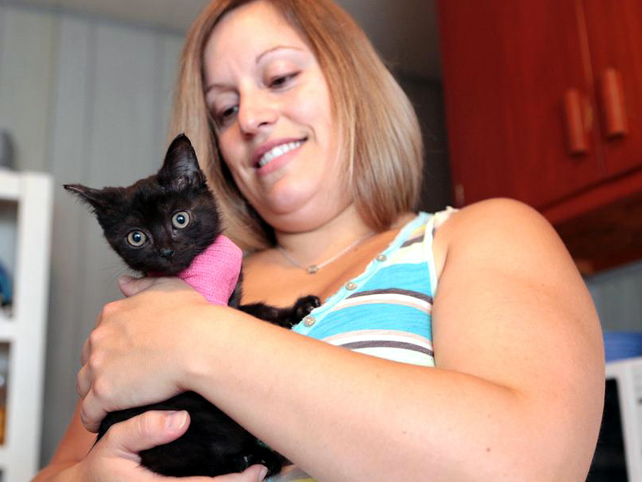 Kitten Found After 100 Miles On Womans B