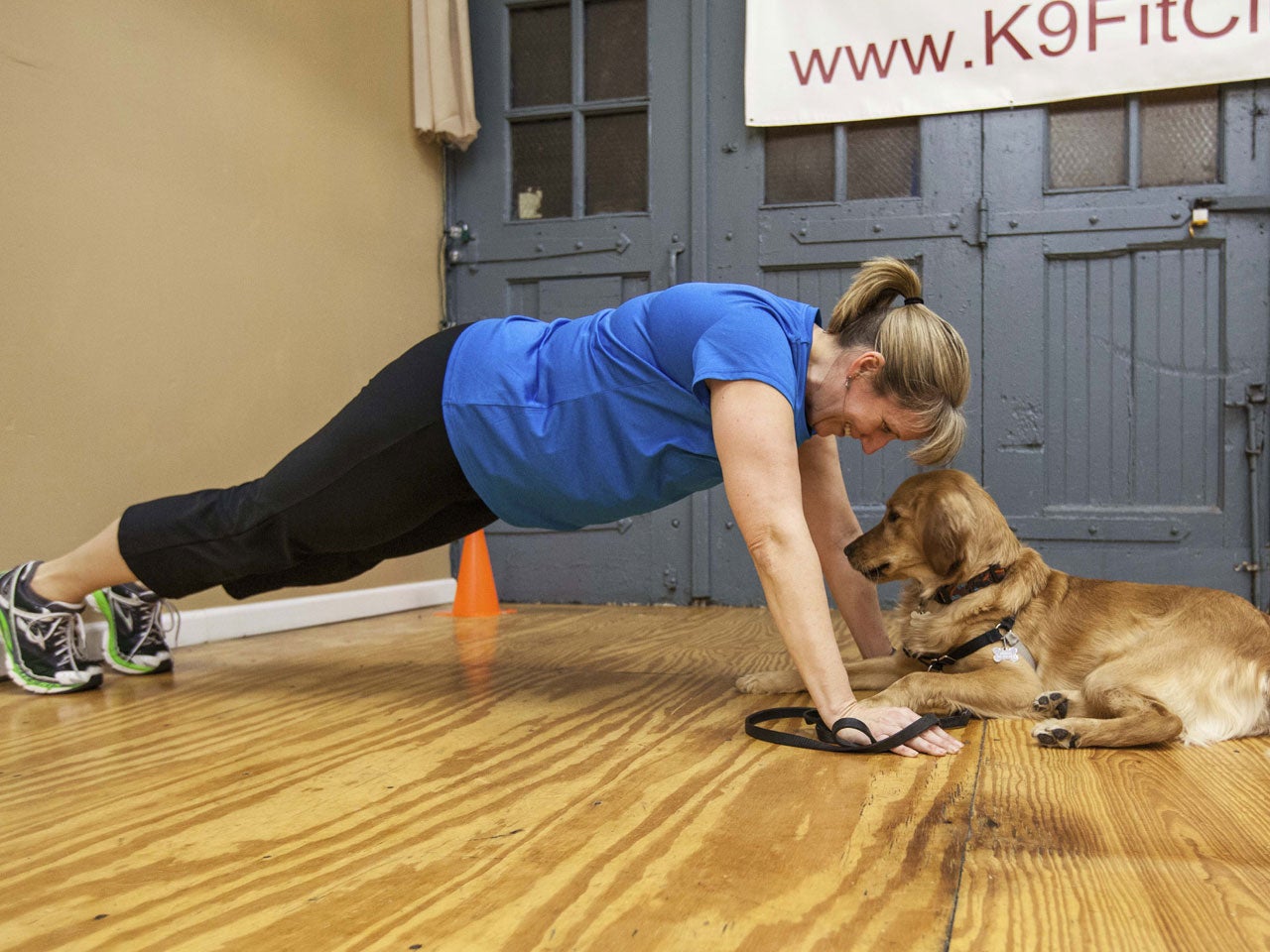 working out with your dog