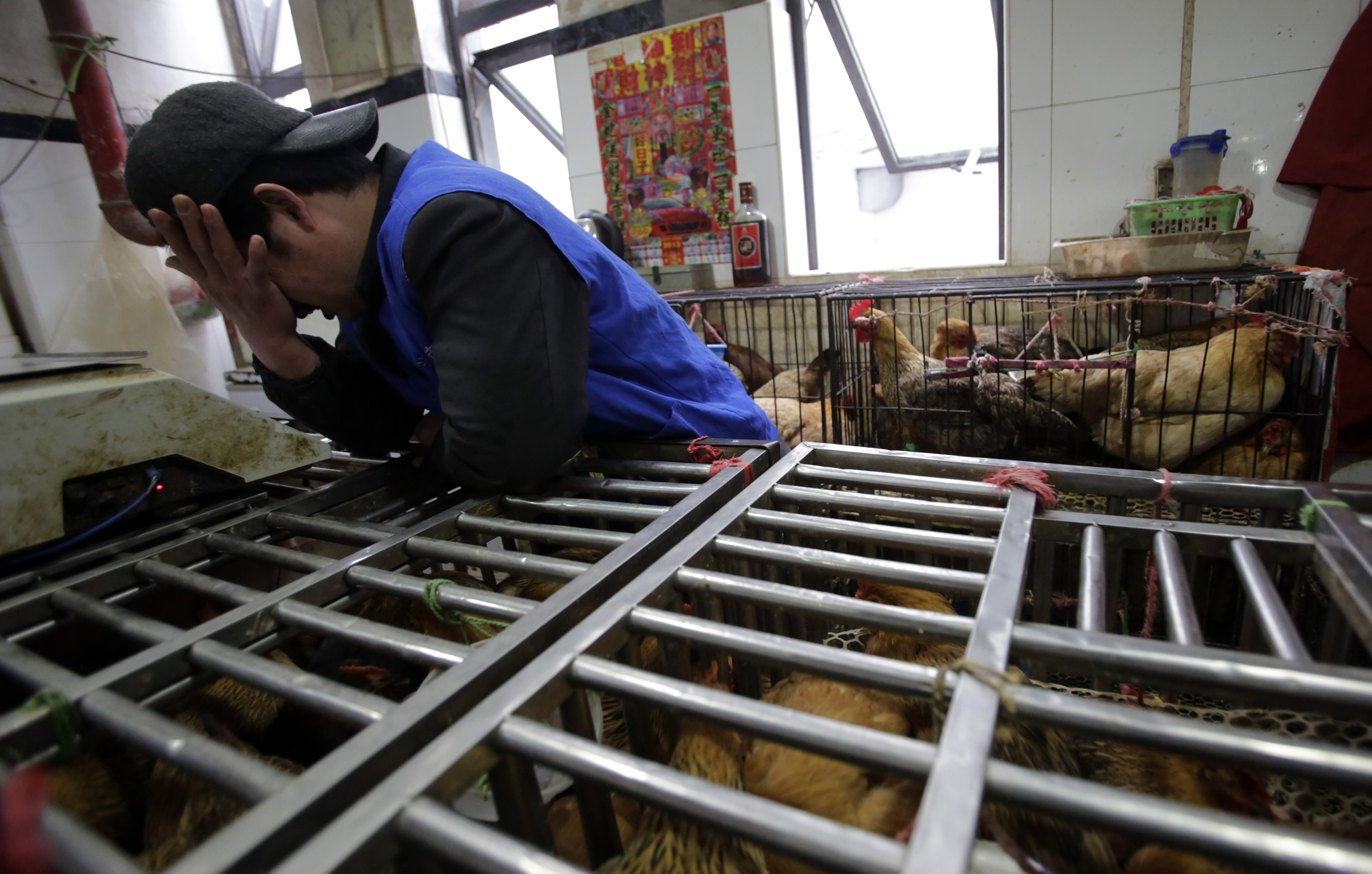 China praised for transparency during bird flu outbreak - CBS News