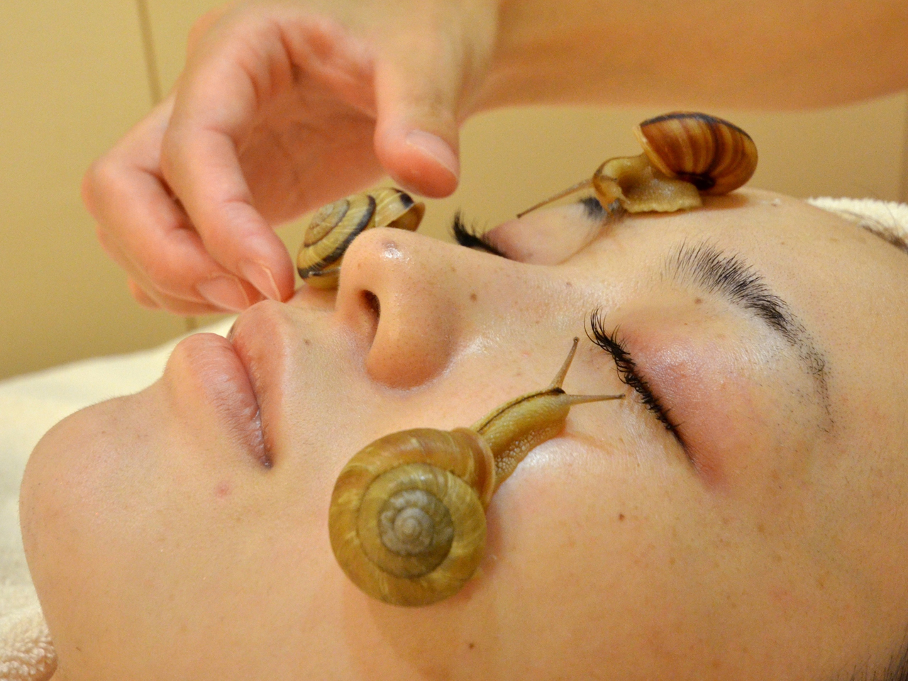 Snail Facials Use Slime For Anti Aging Skin Care Cbs News 