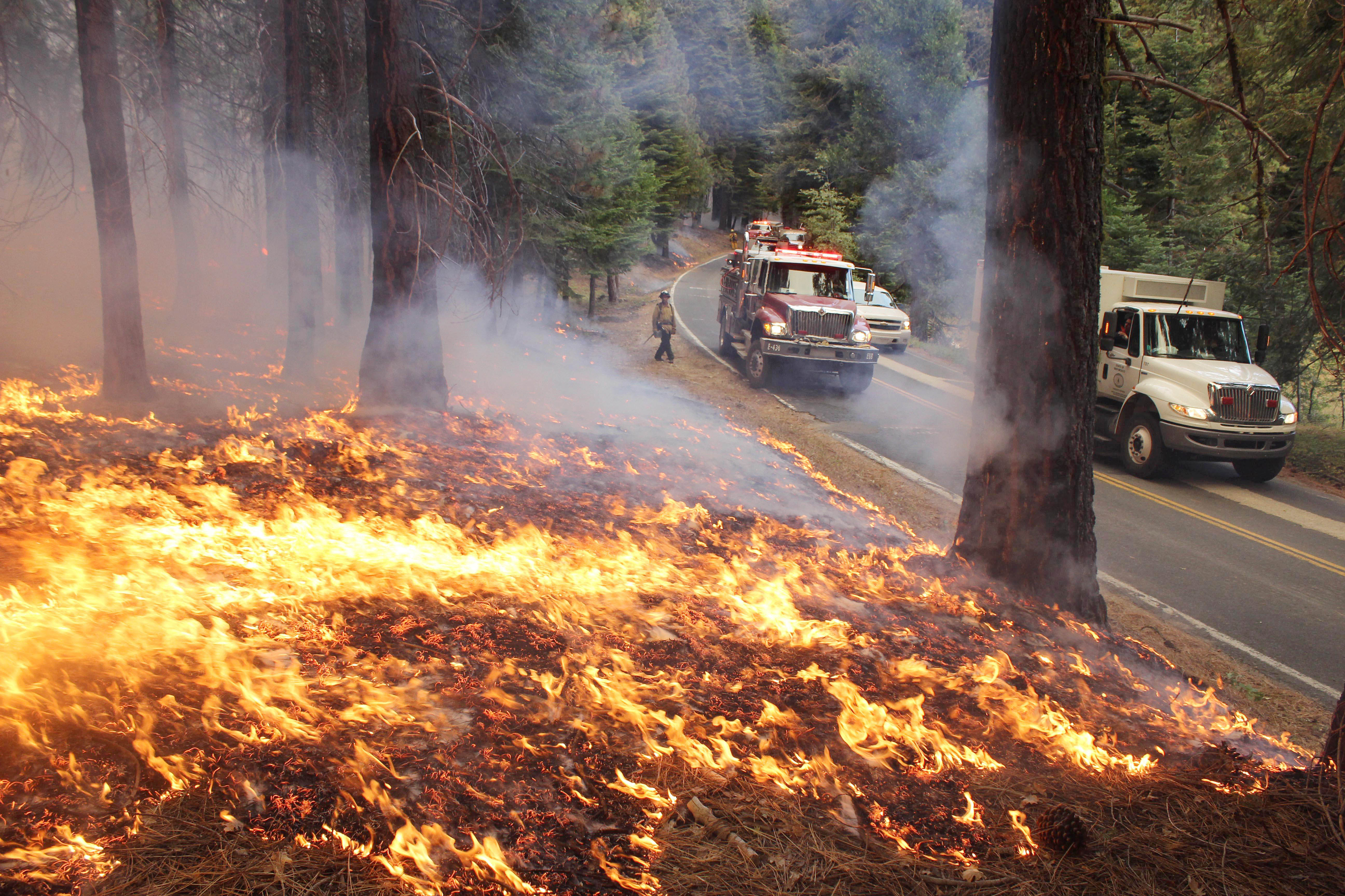 Evacuation orders lifted at Yosemite fire CBS News