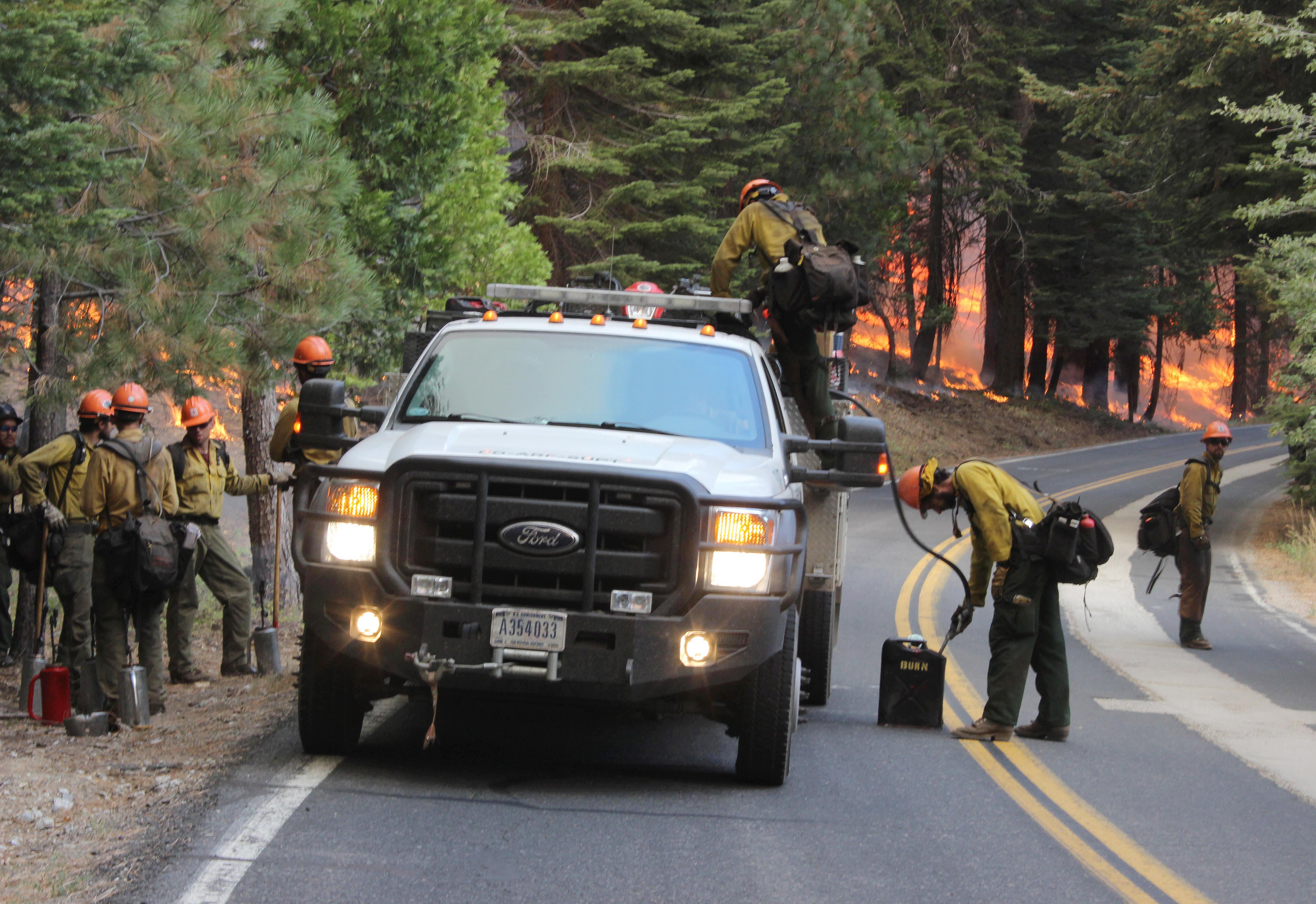 Cause of Rim Fire could take months to determine CBS News