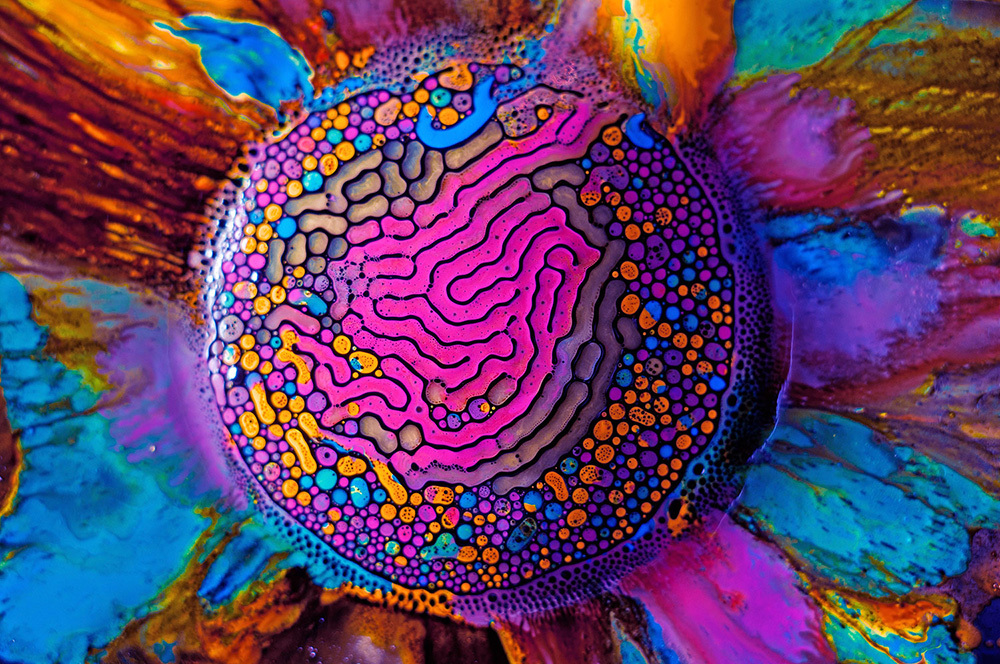 Psychedelic science Photo 1 Pictures CBS News