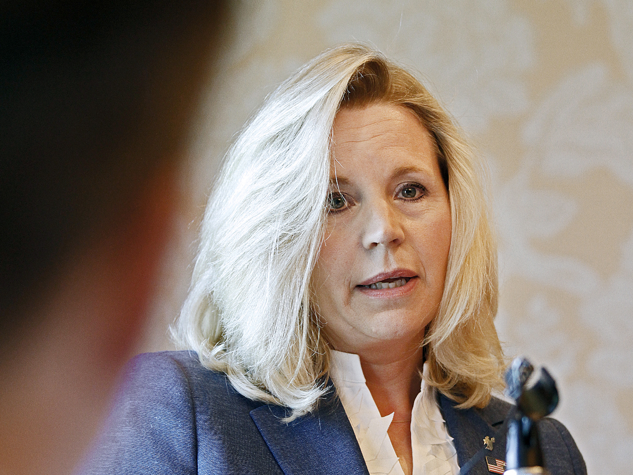 Liz Cheney dropping out of race for Senate seat in Wyoming ...