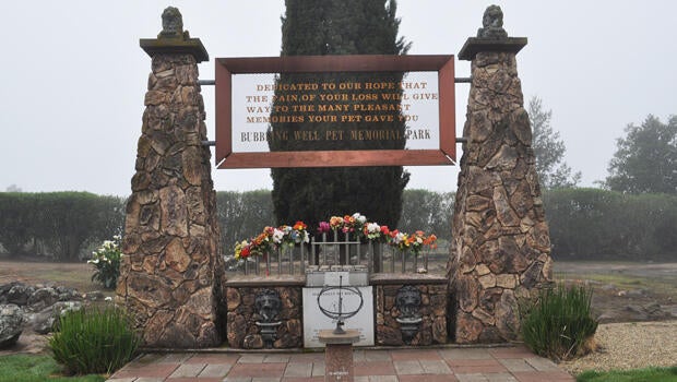 bubbling-well-pet-cemetery-gate-620.jpg