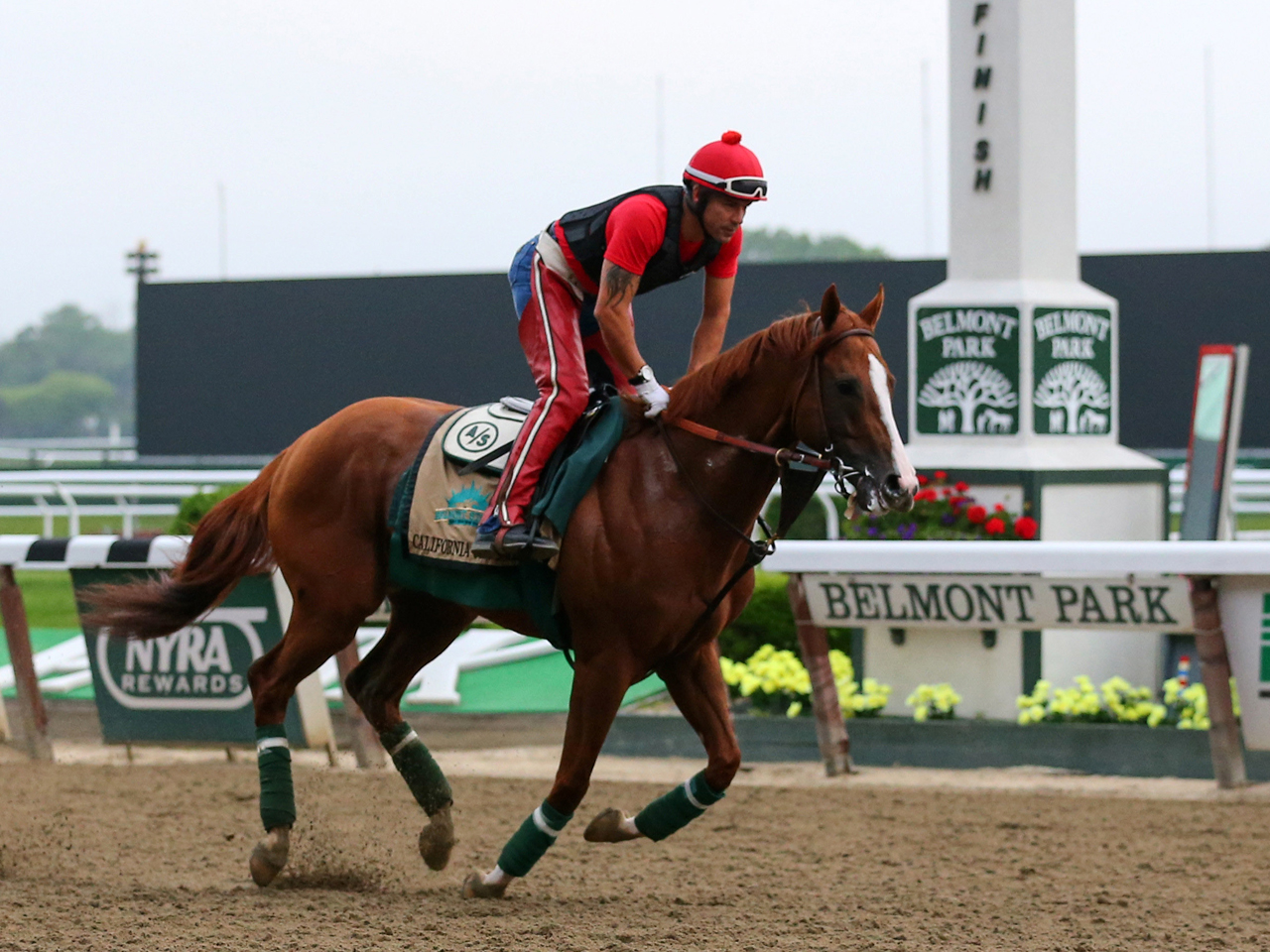 Belmont Stakes 2014 Odds