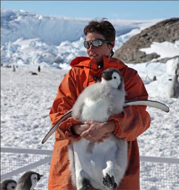 emperor-penguin350.jpg