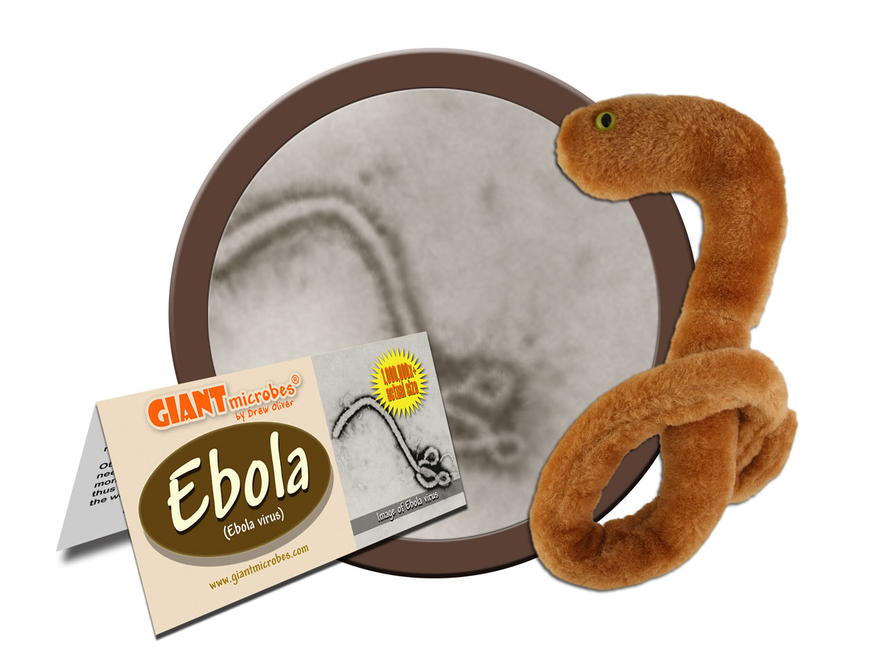 gmus-pd-0240-ebola-cluster.jpg