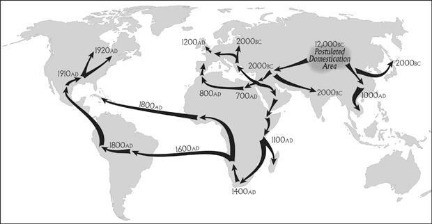 marijuana-world-map-620.jpg