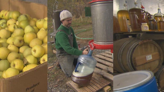 cidery-montage-620.jpg