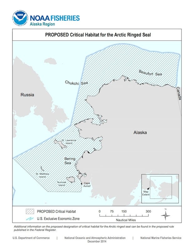 Federal government proposes habitat protection for Arctic ringed seals