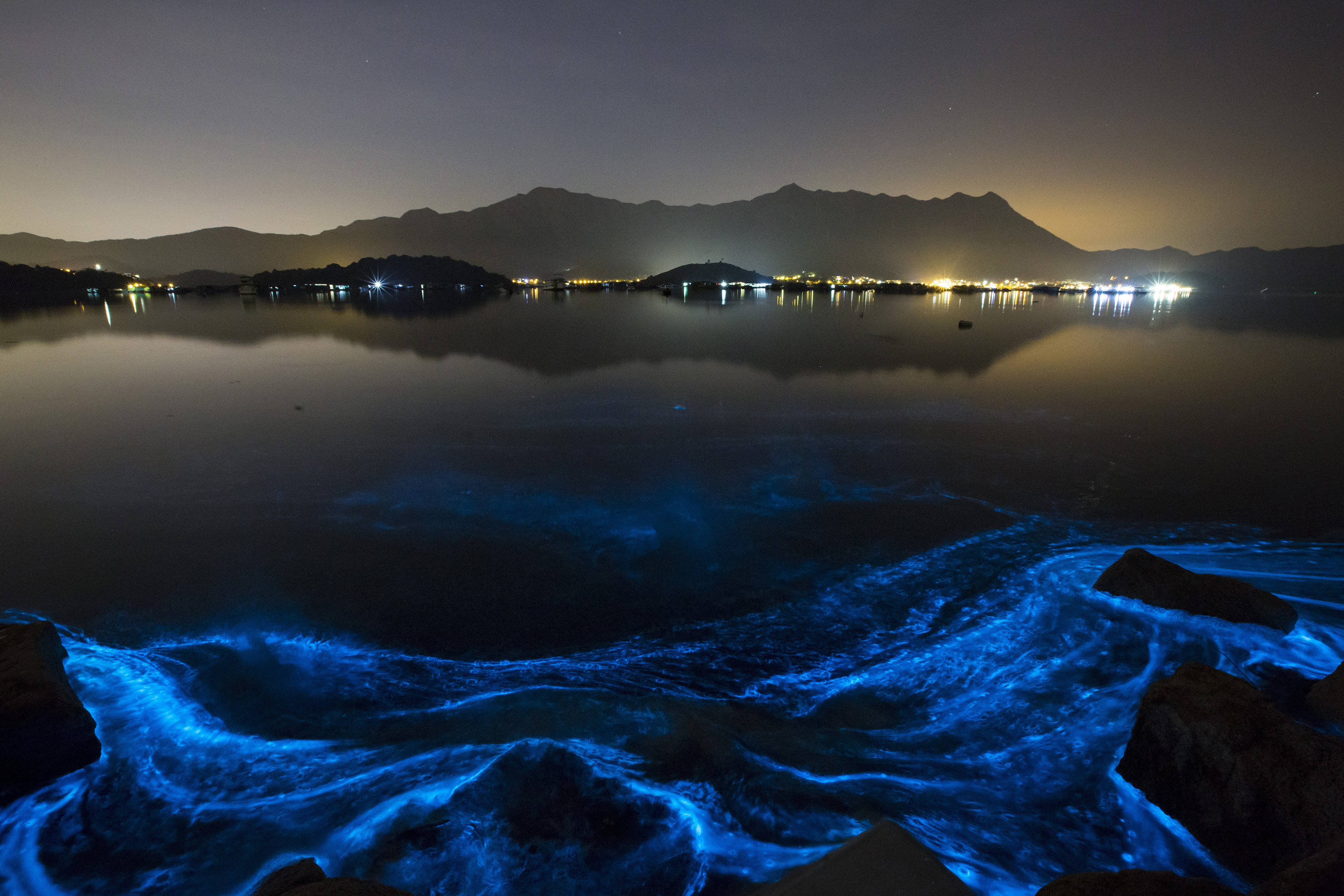 Why is the Hong Kong coast glowing  an eerie blue  CBS News