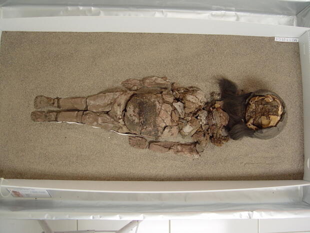 chinchorro-mummy-chile1.jpg