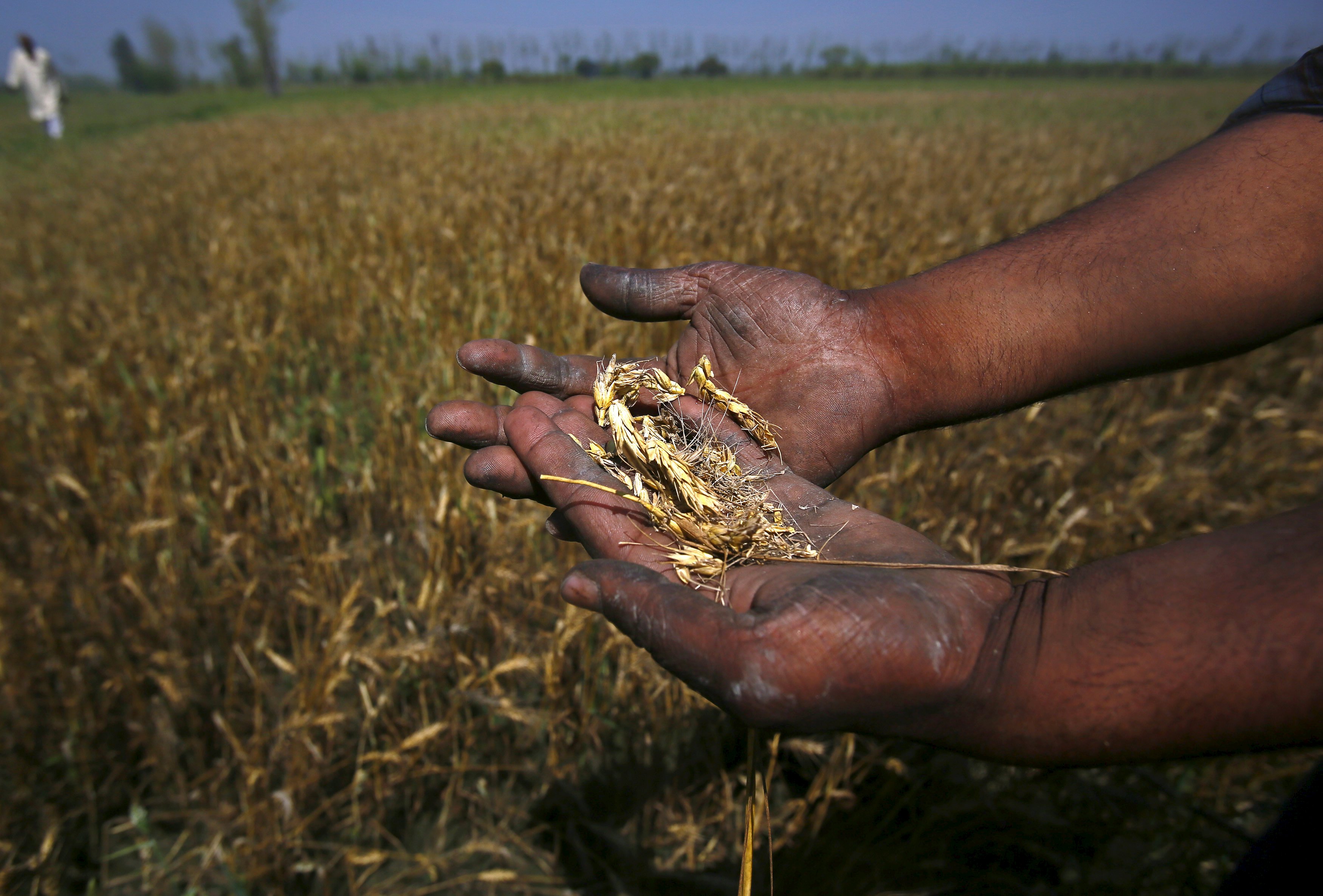 farmers suiciding in india essay upsc