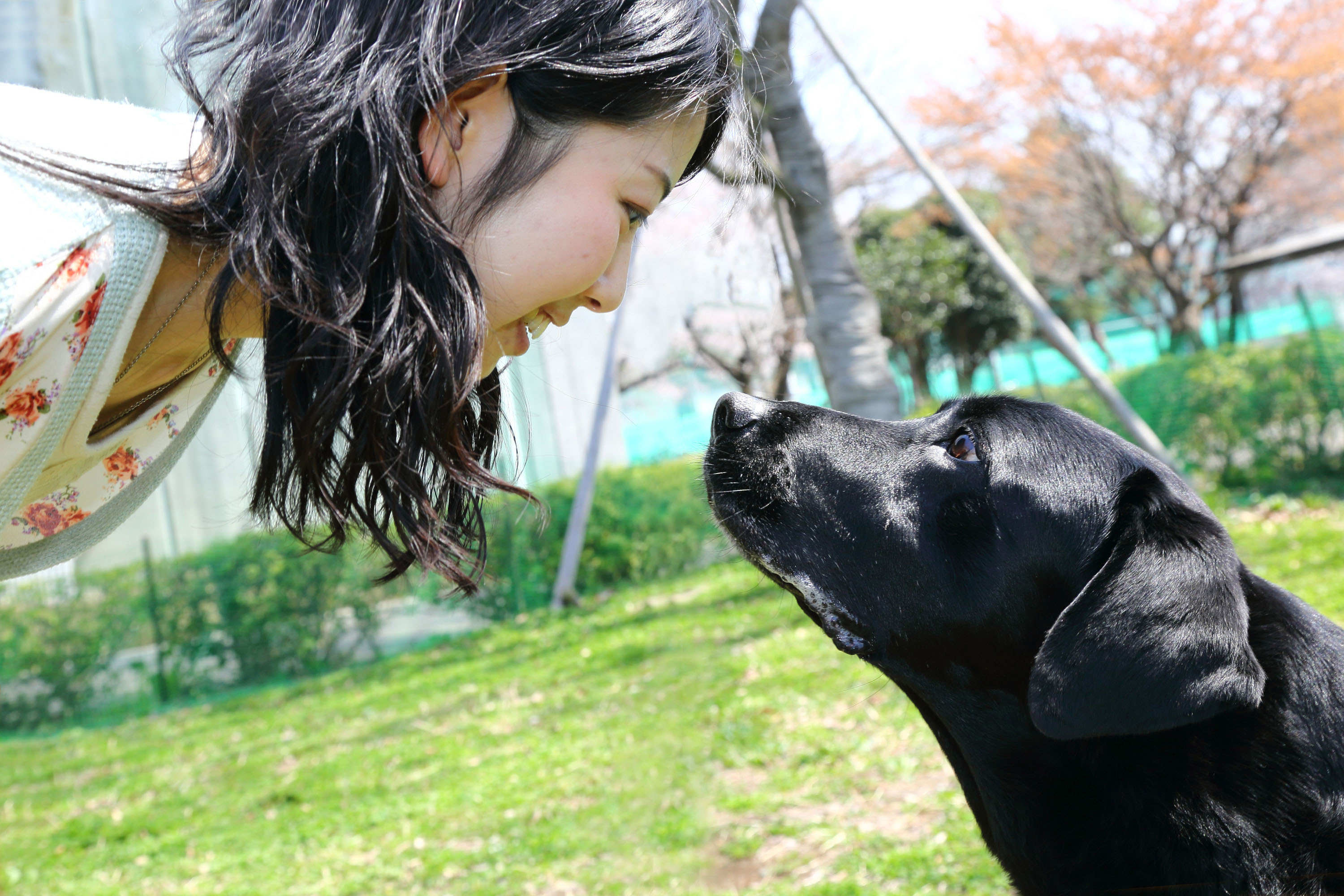 Dogs and people bond through eye contact - CBS News3000 x 2000