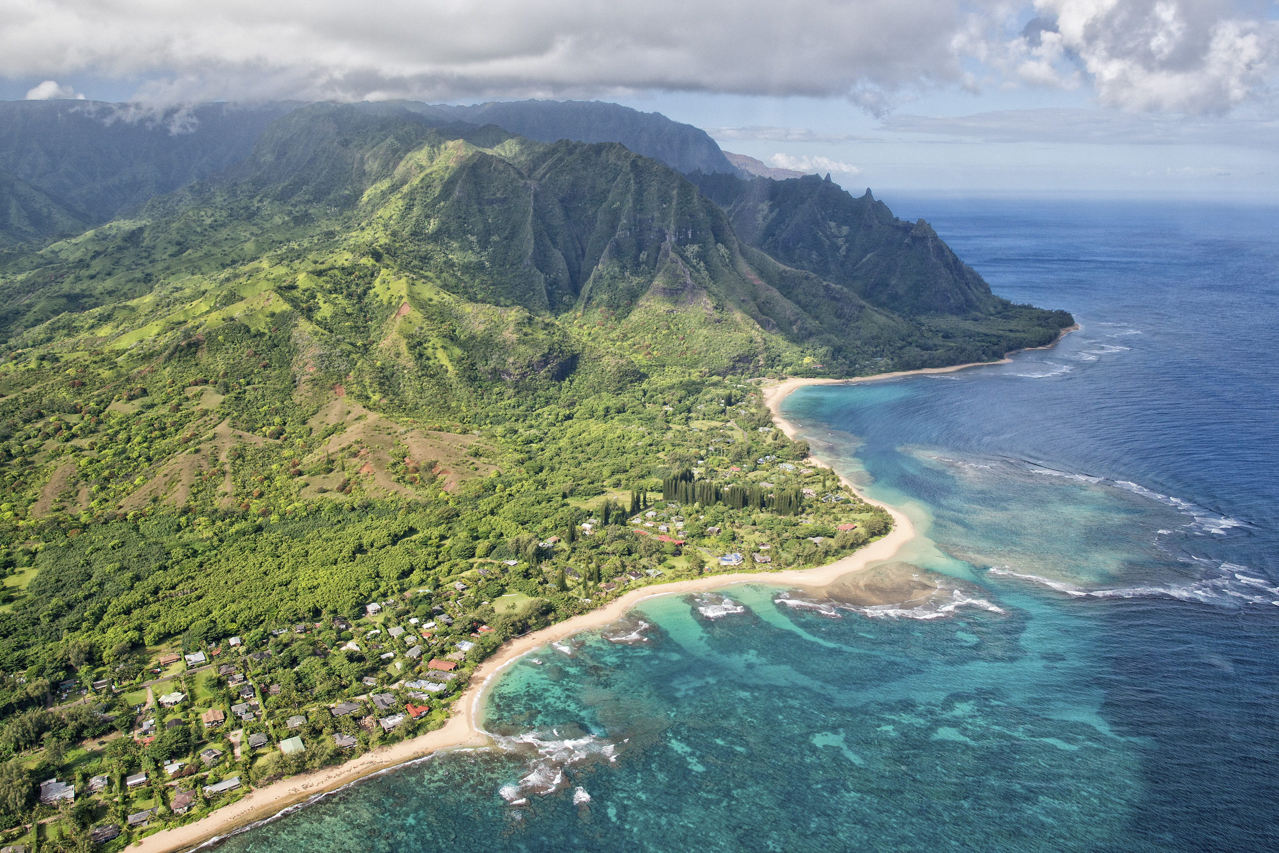 Black band disease killing coral in Hawaii - CBS News