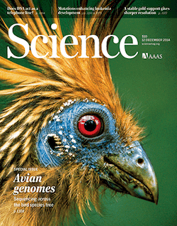 science-cover-250.gif