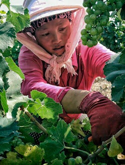 ctm0708chinawine4.jpg