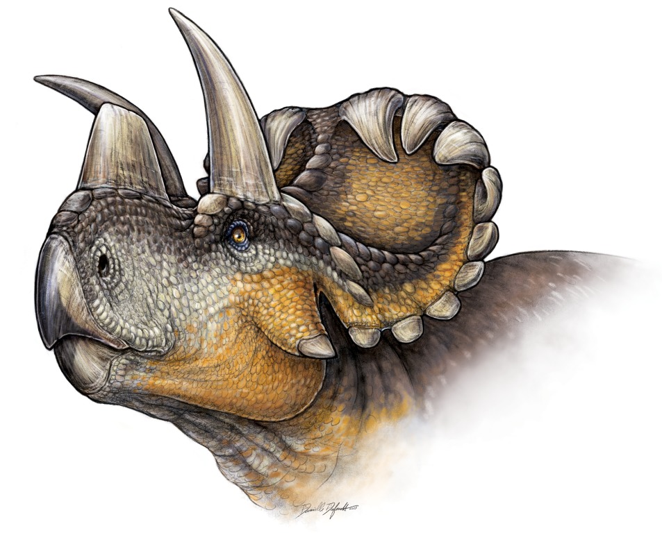 dinosaur with two horns and spikes