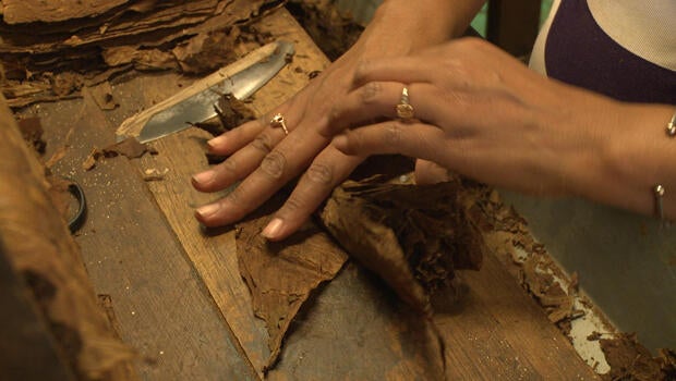 cuban-cigar-factory-tobacco-620.jpg